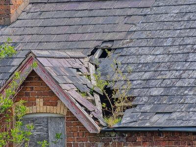 Professional water damage restoration services in Dallas - Dallas Water Damage Experts